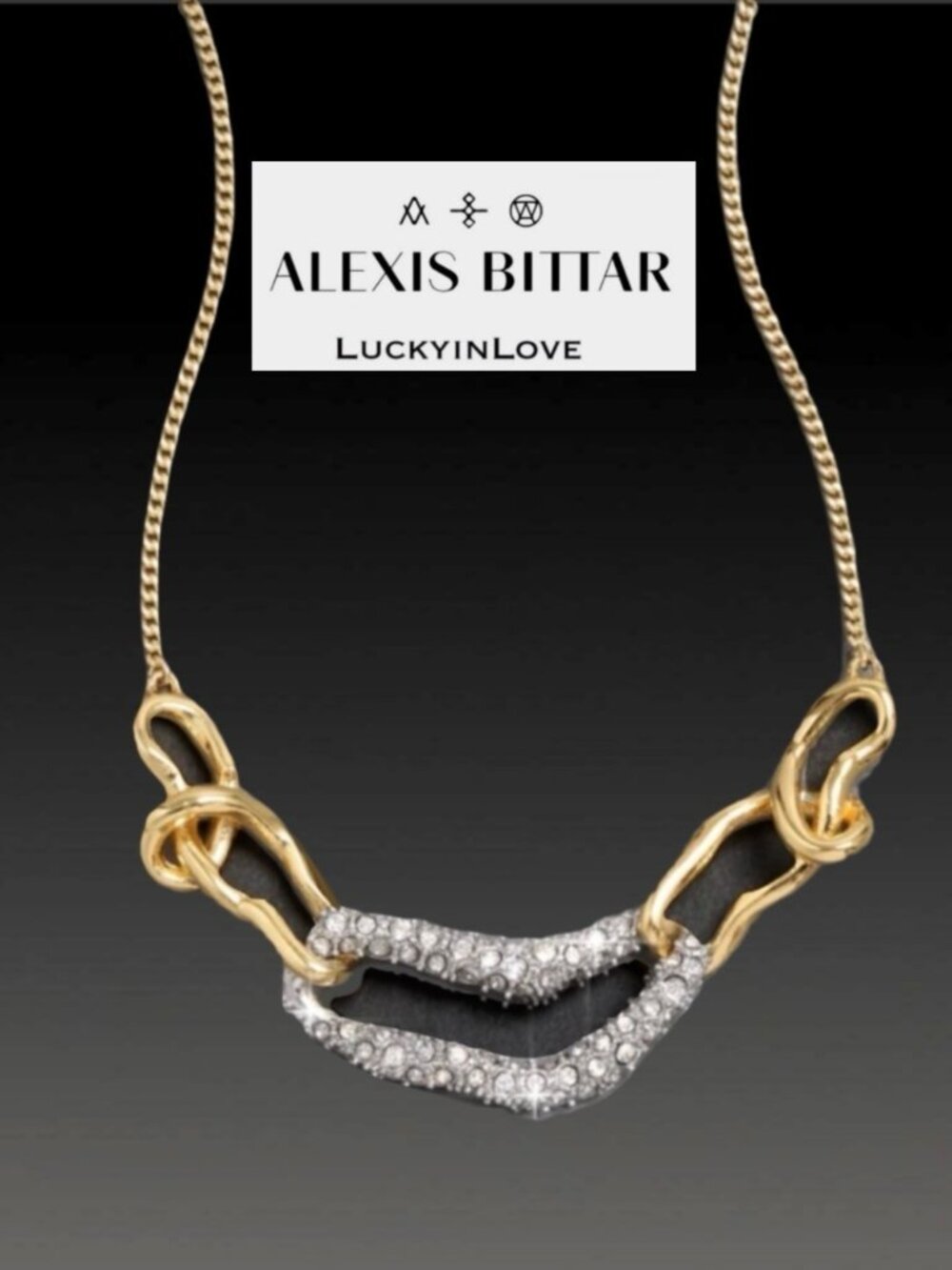Alexis Bittar Solanales Small Link Necklace- Gold & Silver